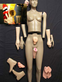 Illustration for article titled 10 Gadgets You Need For Global Orgasm 2007